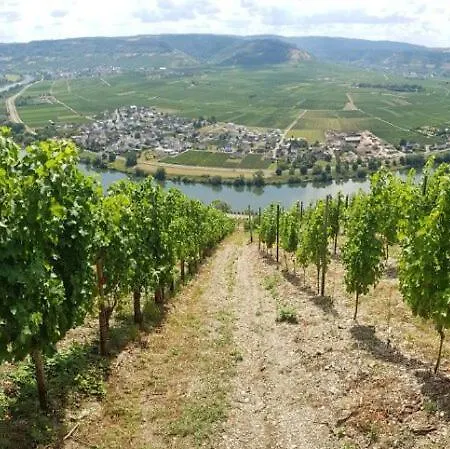 Grooms בית אירוח