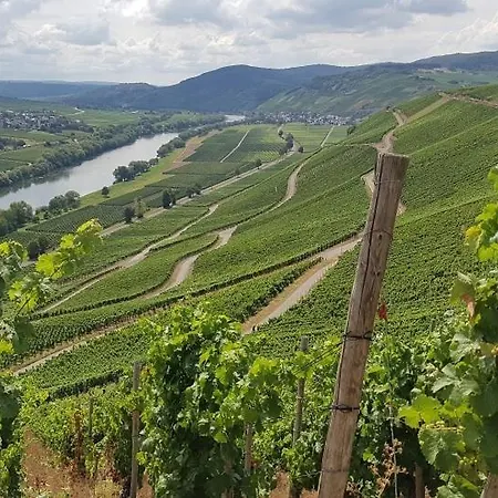 בית אירוח Grooms