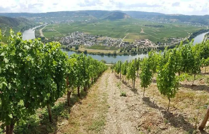 Grooms Séjour chez l'habitant