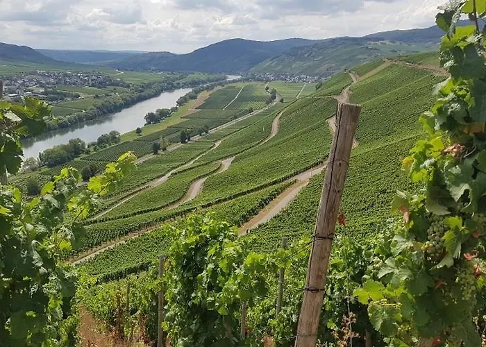 Séjour chez l'habitant Grooms